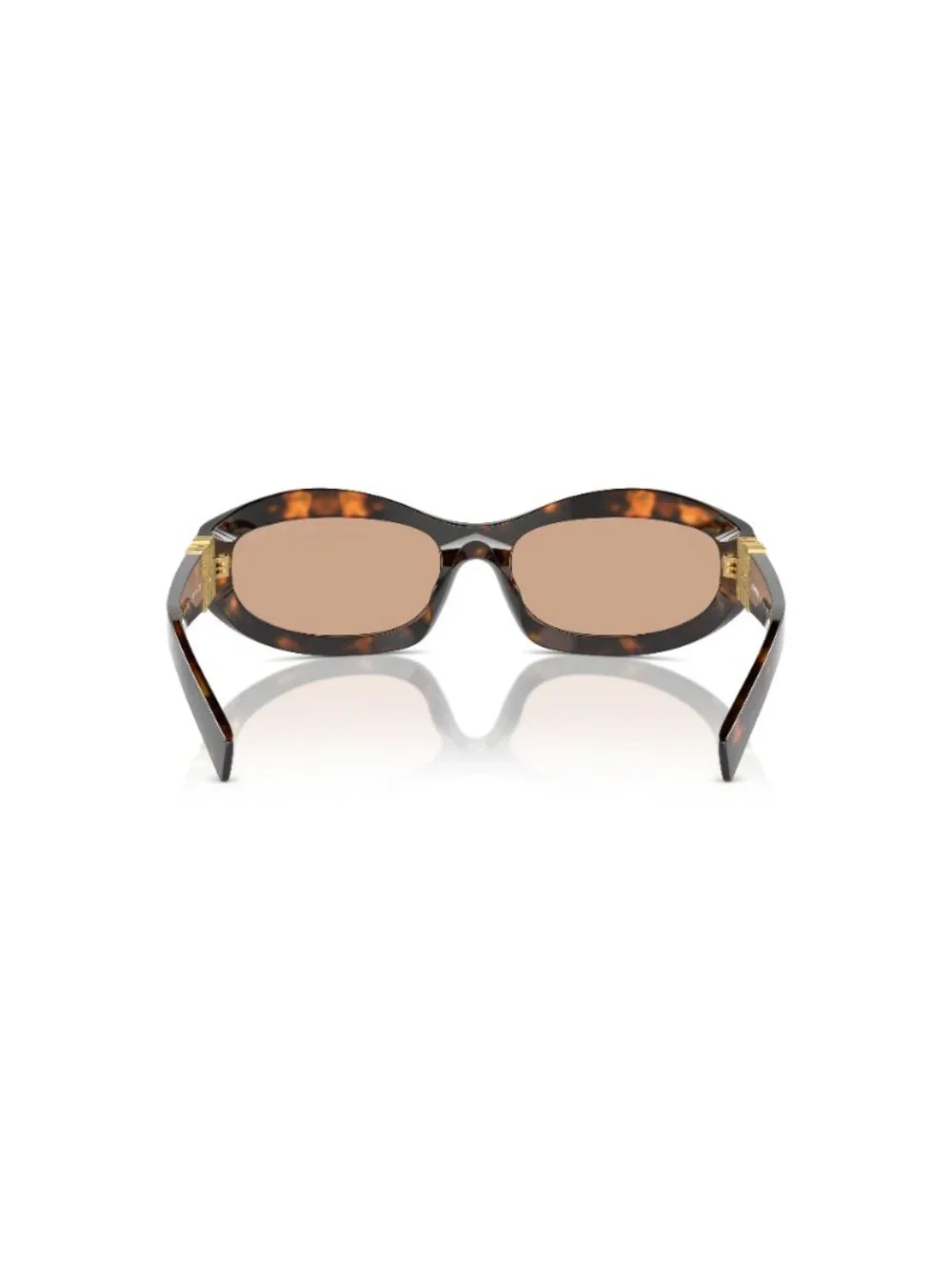 New Miu Miu Women's Sunglasses Havana Aviator Brown Lens Acetate Frame MU 14ZS